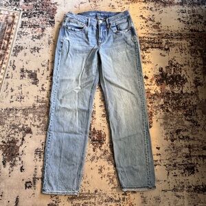 American Eagle Outfitters AE Low-Rise '90s Straight Jean - Size 8 Long